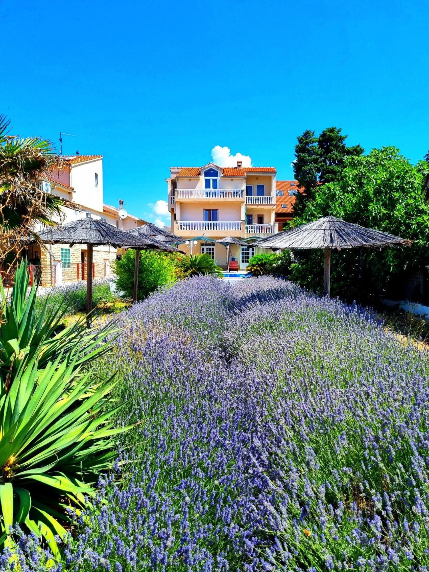 Villa Lana Tribalj Exterior foto